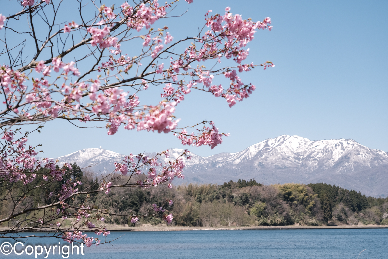 48e378b9dbc6c88367e783d70a0018c6 - 4月　佐渡の風景とおすすめ桜撮影スポット　