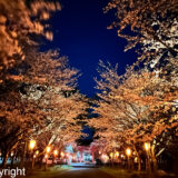 4月　佐渡の風景とおすすめ桜撮影スポット　