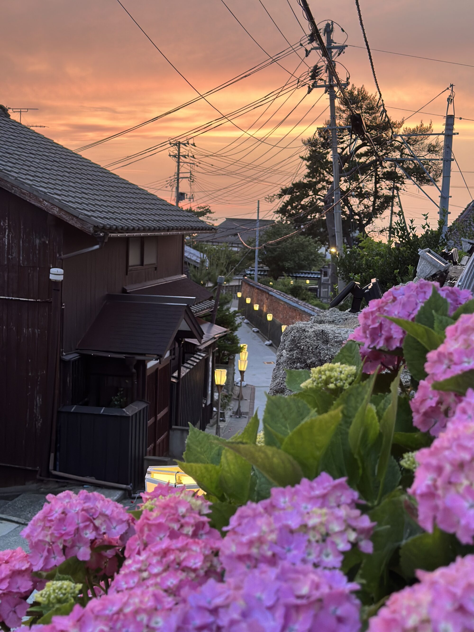 IMG 8742 - 6月 佐渡の歩き方 IMG 8742 - 6月 佐渡の歩き方